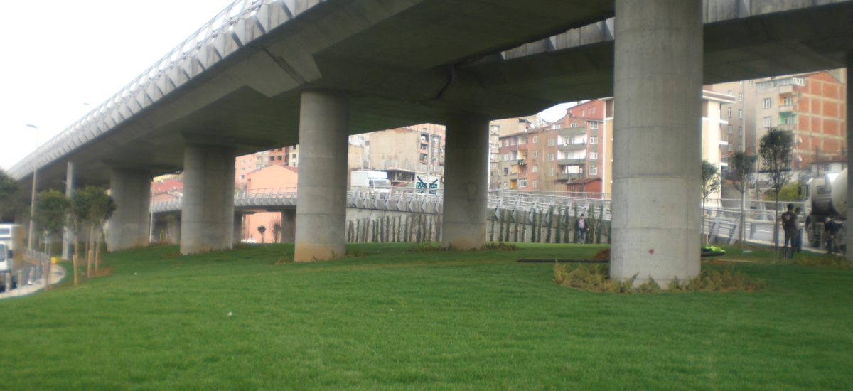 CIMG1103
